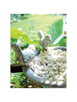 Bain d'oiseau Bird, Ø 13 x haut. 5 cm -Jardin Soldes Boutique Bain doiseau Bird 5