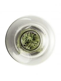 Cloche en culture Tiles, Ø 15 x haut. 31 cm -Jardin Soldes Boutique Cloche en culture Tiles 2