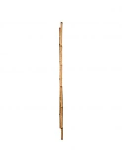 Échelle déco en bambou Safari, larg. 50 x haut. 190 cm 12 Échelle déco en bambou Safari, larg. 50 x haut. 190 cm -Jardin Soldes Boutique Echelle deco en bambou Safari 4