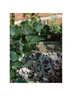 Grand cache-pot mural Cerino, larg. 28 x haut. 18 cm -Jardin Soldes Boutique Grand cache pot mural Cerino 1