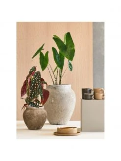 Villa Collection Grand cache-pot vintage Loev, Ø 20 x haut. 19 cmDisponibilité limitée -Jardin Soldes Boutique Grand cache pot vintage Loev 3