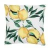 Kalaidu Housse de coussin 40x40 pur coton à imprimé Citrus, larg. 40 x long. 40 cm
