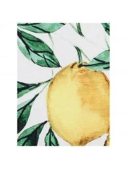 Kalaidu Housse de coussin 40x40 pur coton à imprimé Citrus, larg. 40 x long. 40 cm -Jardin Soldes Boutique Housse de coussin 40x40 pur coton a imprime Citrus 3