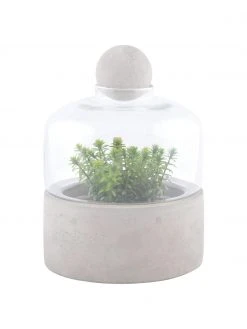 Jardin en bouteille Budi, Ø 18 x haut. 24 cmDisponibilité limitée -Jardin Soldes Boutique Jardin en bouteille Budi 2