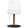 Halo Design Petite lampe d'extérieur effet flamme Northern, Ø 17 x haut. 30 cm 2 Halo Design Petite lampe d'extérieur effet flamme Northern, Ø 17 x haut. 30 cm -Jardin Soldes Boutique Petite lampe dexterieur effet flamme Northern