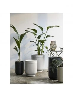 Nordal Photophore naturel Silba, Ø 23 x haut. 32 cmDisponibilité limitée 10 Nordal Photophore naturel Silba, Ø 23 x haut. 32 cmDisponibilité limitée -Jardin Soldes Boutique Photophore naturel Silba 3