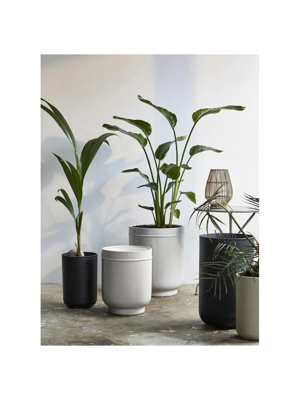 Nordal Photophore naturel Silba, Ø 23 x haut. 32 cmDisponibilité limitée 6 Nordal Photophore naturel Silba, Ø 23 x haut. 32 cmDisponibilité limitée – Image 4