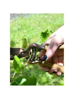 Sécateur Gardenia, larg. 6 x haut. 21 cm -Jardin Soldes Boutique Secateur Gardenia 4