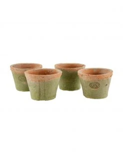 Set de pots de fleurs en terre cuite Daria, 5 élém., larg. 24 x haut. 10 cm -Jardin Soldes Boutique Set de pots de fleurs en terre cuite Daria 5 elem 5