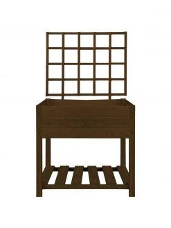 Treillis de vigne v&eacute;g&eacute;tal Gertrude, larg. 78 x haut. 85 cm -Jardin Soldes Boutique Treillis de vigne vegetal Gertrude 3